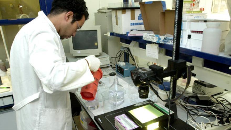 Laboratorio de investigación de la ULPGC.