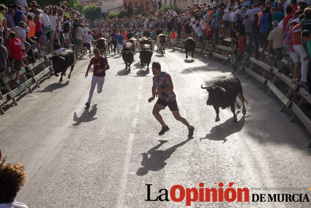 Segundo encierro de Calasparra