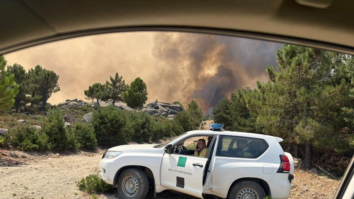 Fotogalería | Medios extremeños trabajan en la extinción del incendio de Ávila y Madrid