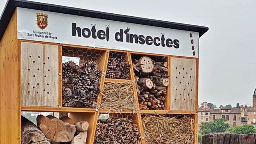 Un dels refugis d&#039;insectes instal·lat