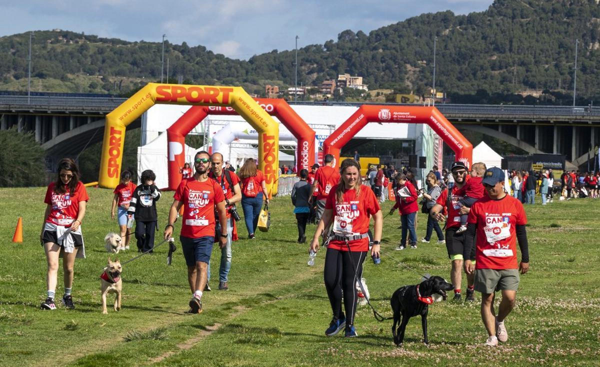 La quarta edició de la Can We Run reuneix mil corredors i els seus gossos | JORDI COTRINA
