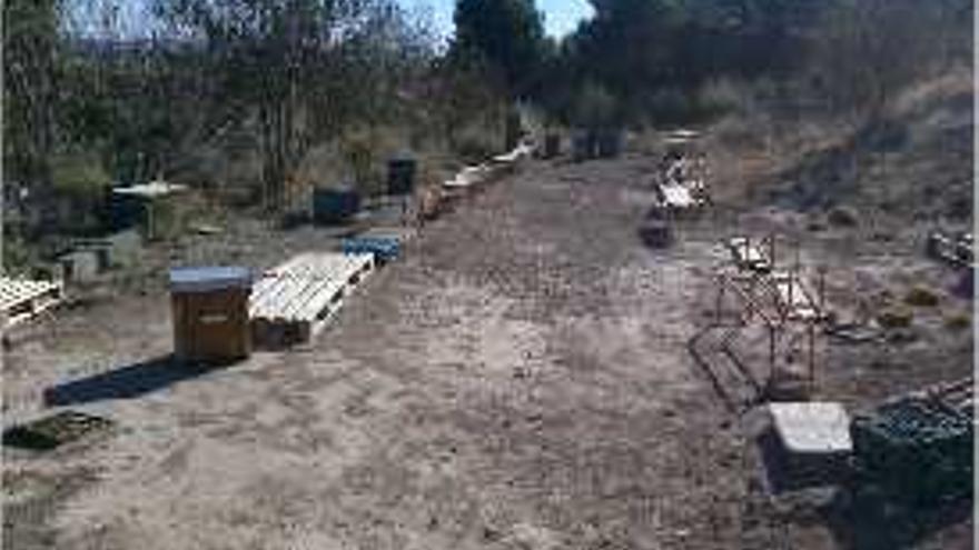 Desaparecen 83 colmenas en Sagunt  tras una sustracción similar en Segorbe