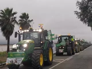 FOTOGALERÍA | Las imágenes de la tractorada en Sevilla este martes