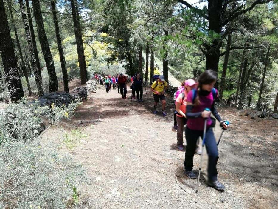 Participantes en el Camino de Santiago de Gran Can