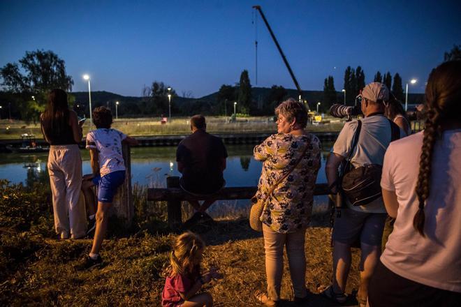 Rescue operation for a Beluga whale lost in the Seine river