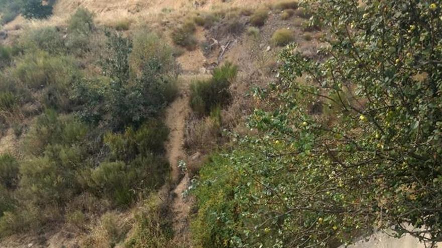 Fallece un avilesino tras caer por un terraplén en el Huerna