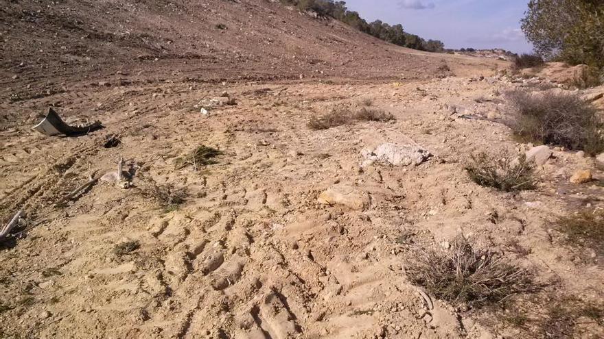 Denuncian nueve agresiones medioambientales en San Miguel de Salinas