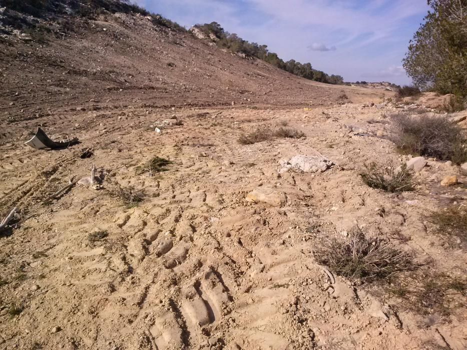 Denuncian nueve agresiones medioambientales en San Miguel de Salinas