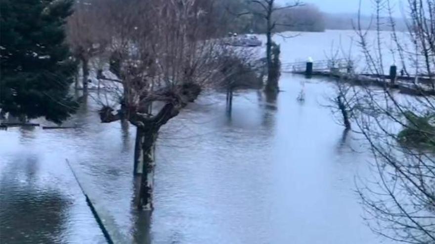 La crecida del río Miño inunda el paseo fluvial y la ribera de Tui