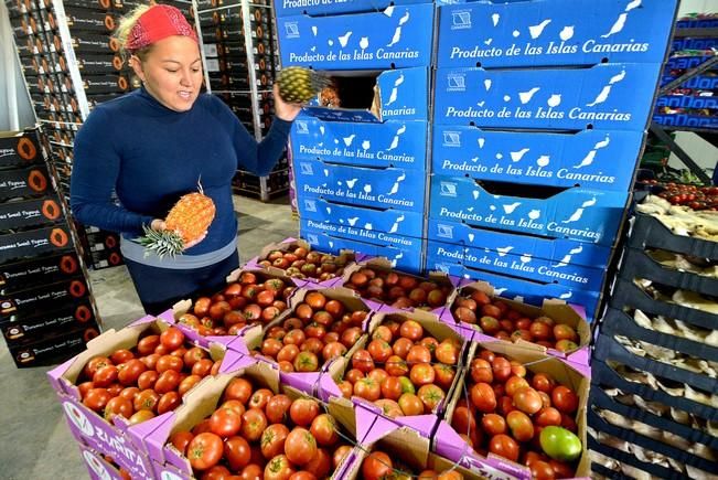 BENITO ALVAREZ PROVEEDOR CANARIO FRUTAS VERDURAS