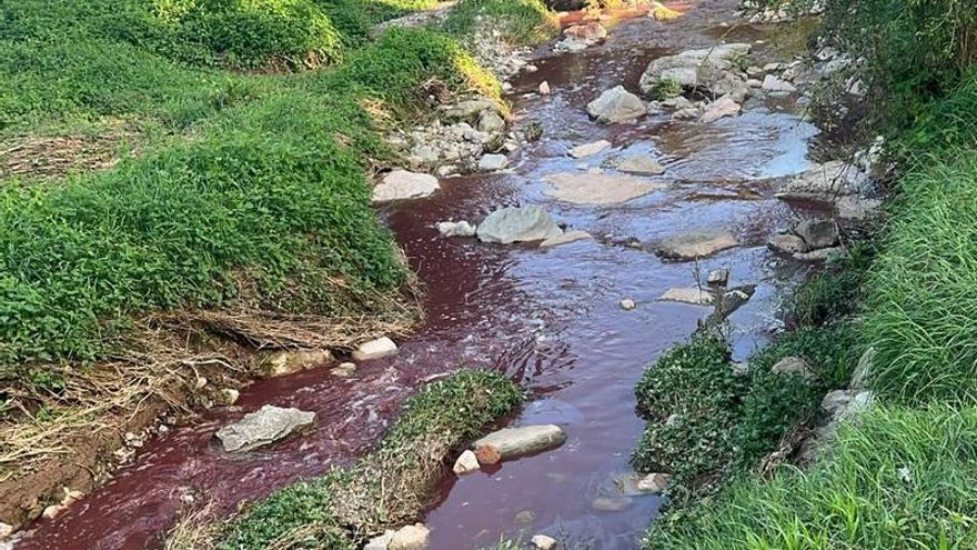 Un vessament tenyeix de vermell la riera de Castellnou, a Moià