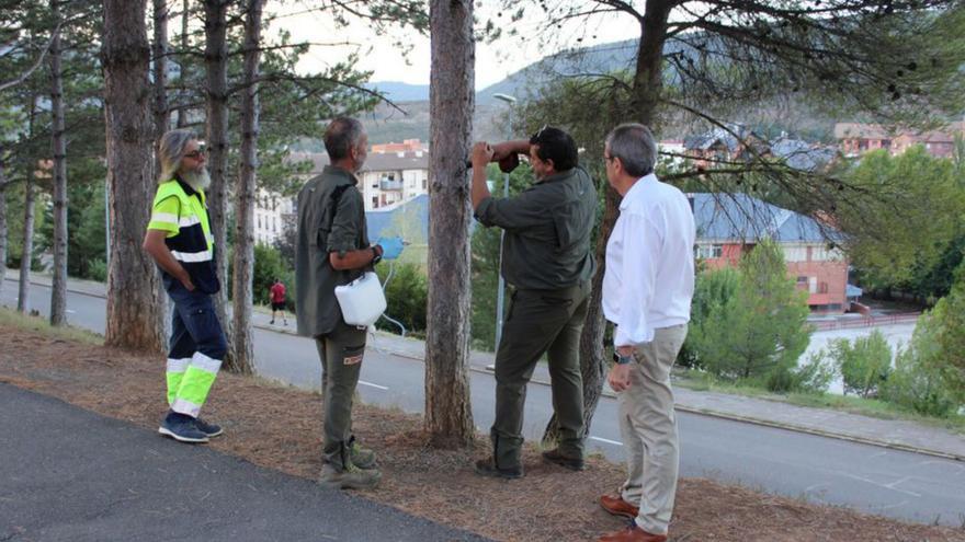 Cebollero, junto al equipo de intervención aplicando el tratamiento. | DPH