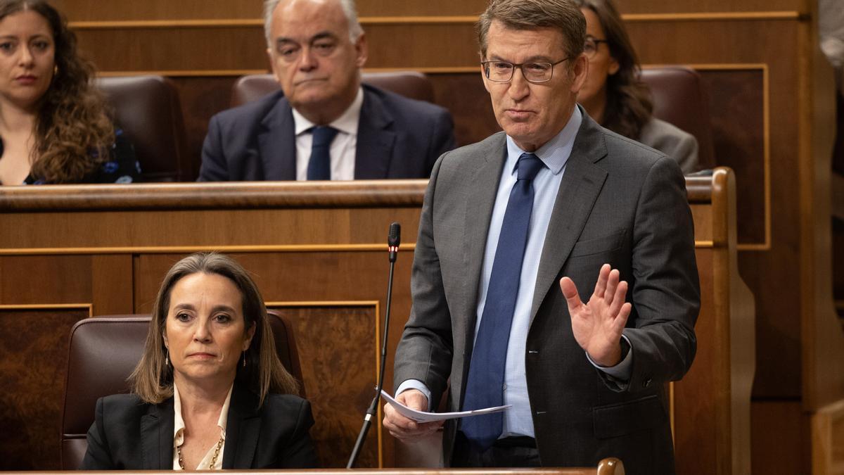 Alberto Núñez Feijóo interviene en la sesión de control a Pedro Sánchez.