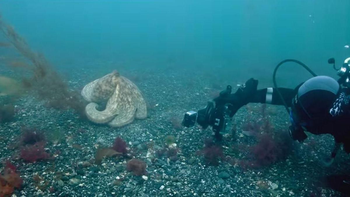 Grabación del cortometraje del cineasta David Palfrey
