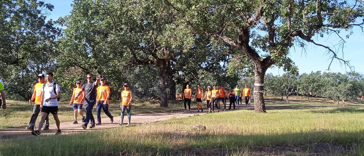 La ruta de El Robledal de Aceituna será el 5 de mayo y ofrecerá dos trayectos