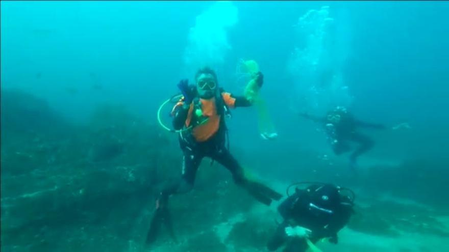 Un submarinista salva a un tiburón que se había tragado una bolsa de plástico