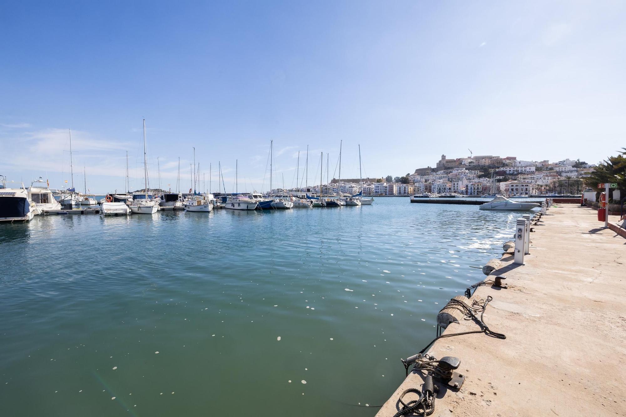 Galería: El Club Náutico Ibiza retira más de 40 barcos de sus pantalanes por seguridad