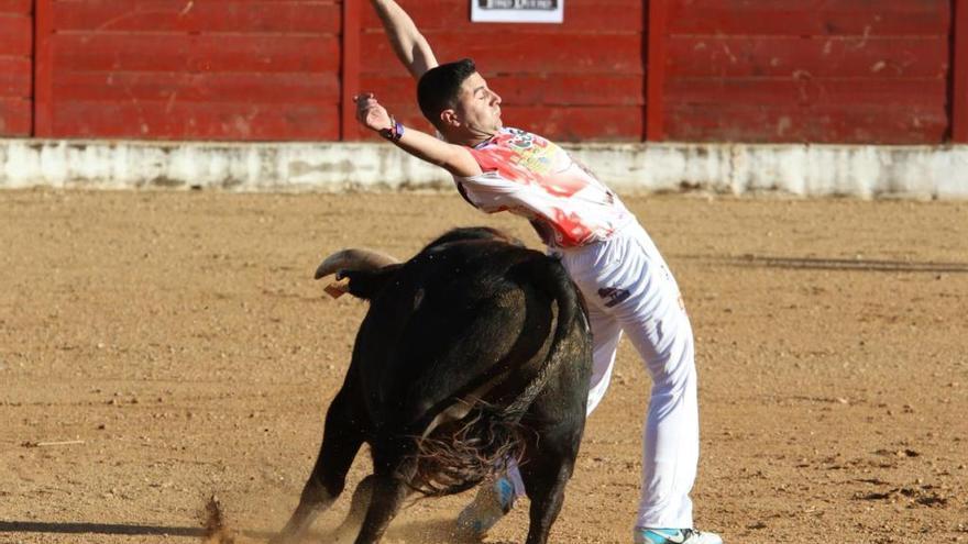 Carlos García &quot;Garci&quot; en el concurso de cortes de Fuentesaúco.