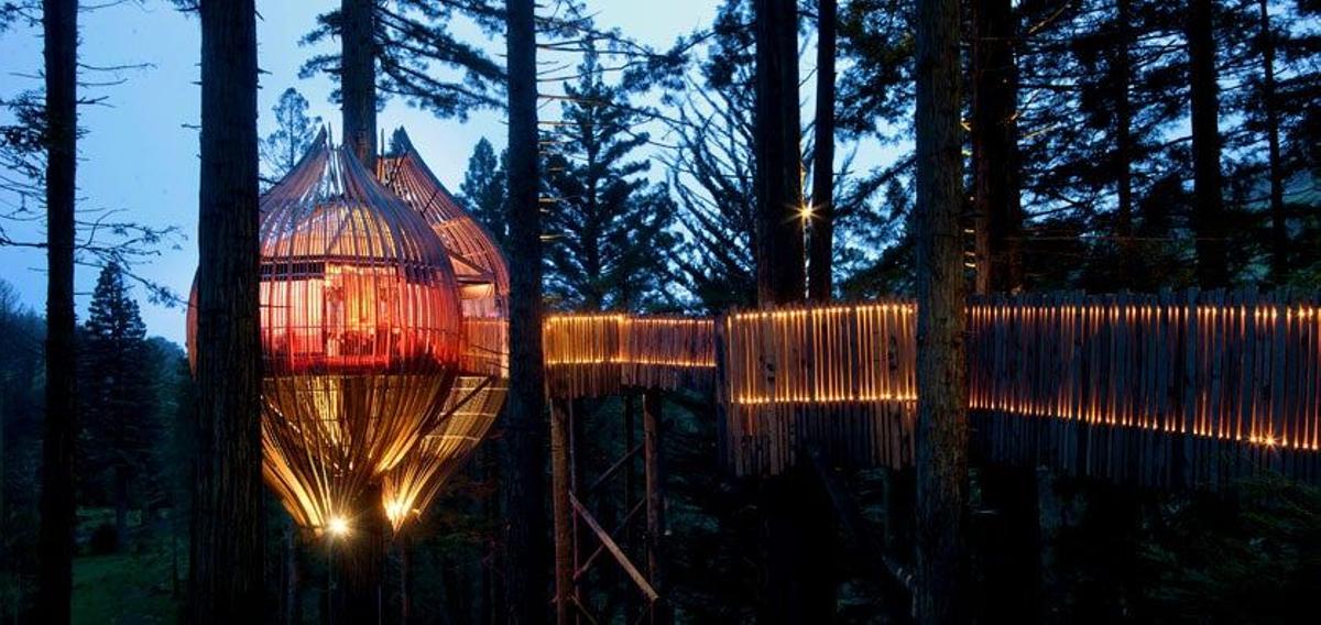 Redwoods treehouse, Nueva Zelanda