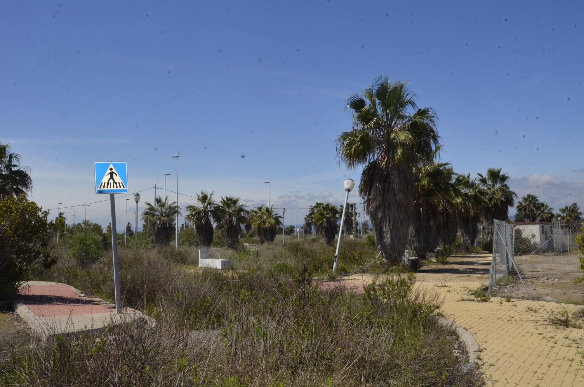 El PAI Belcaire Sur de Moncofa, una urbanización abandonada y habitada solo por la maleza