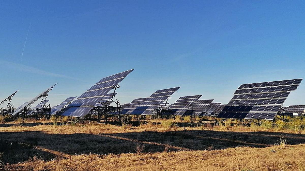 Paneles solares de una de las plantas en funcionamiento del municipio de Toro. | M. J. C.