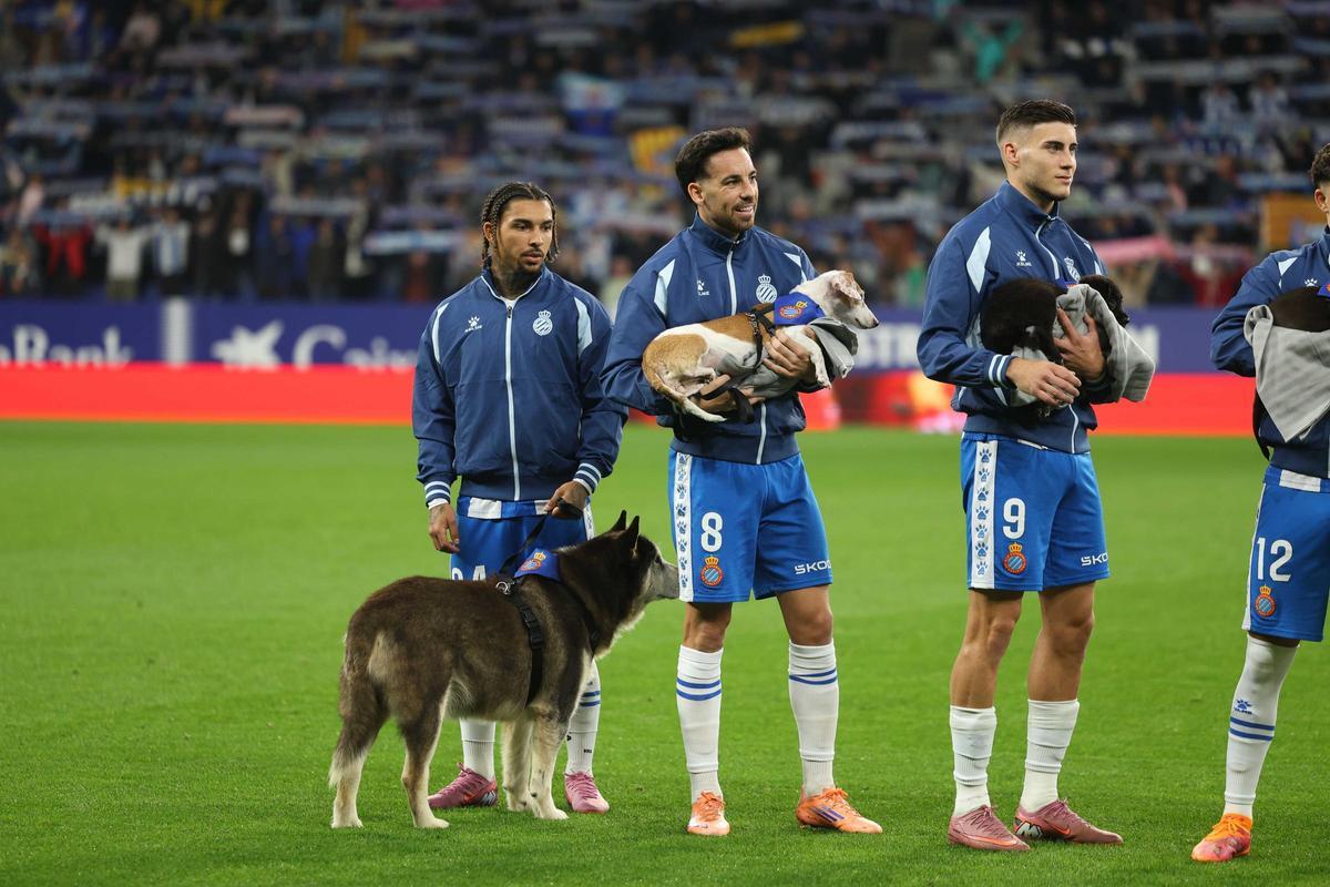 'Periquitos' y perritos, juntos contra el abandono animal