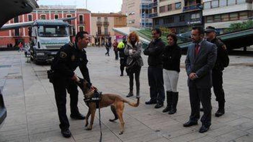 La Policía Local de Vila-real incorpora una unidad canina en la lucha contra la droga