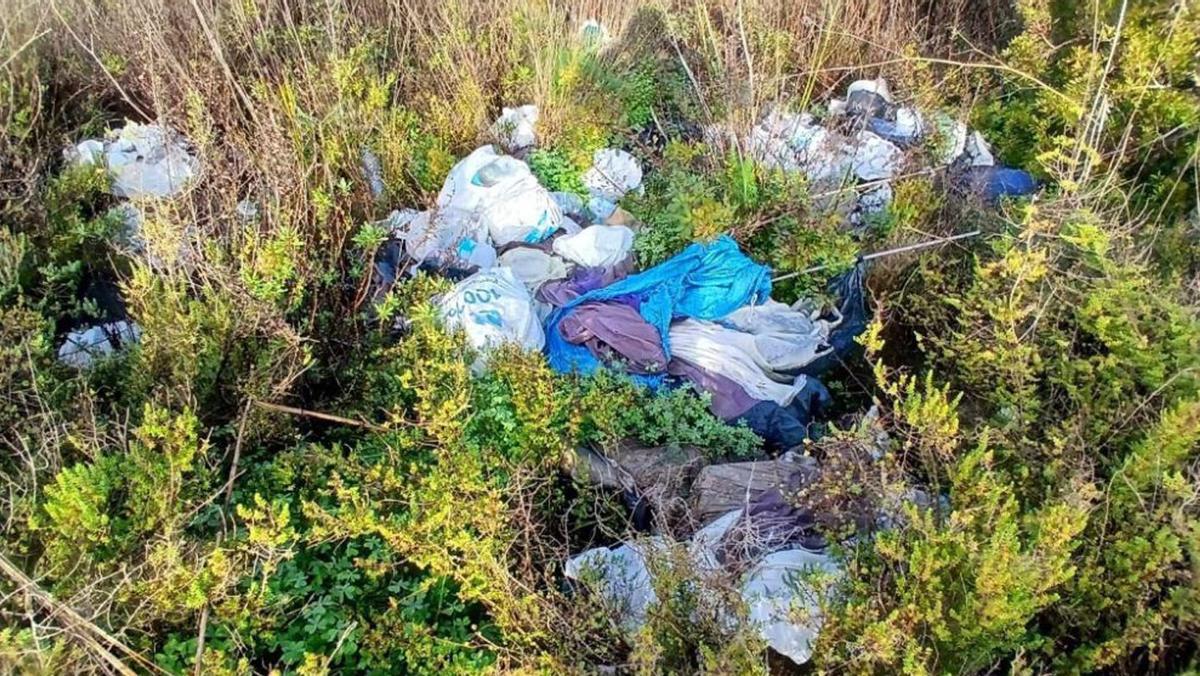 Estercolero natural | DI