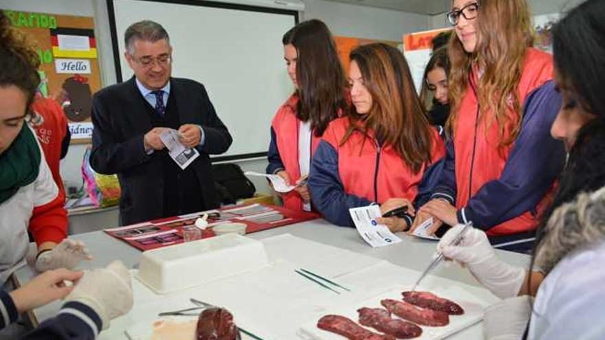 El Colegio Arenas Atlántico celebra una  nueva edición de la Ruta del Ingenio Humano