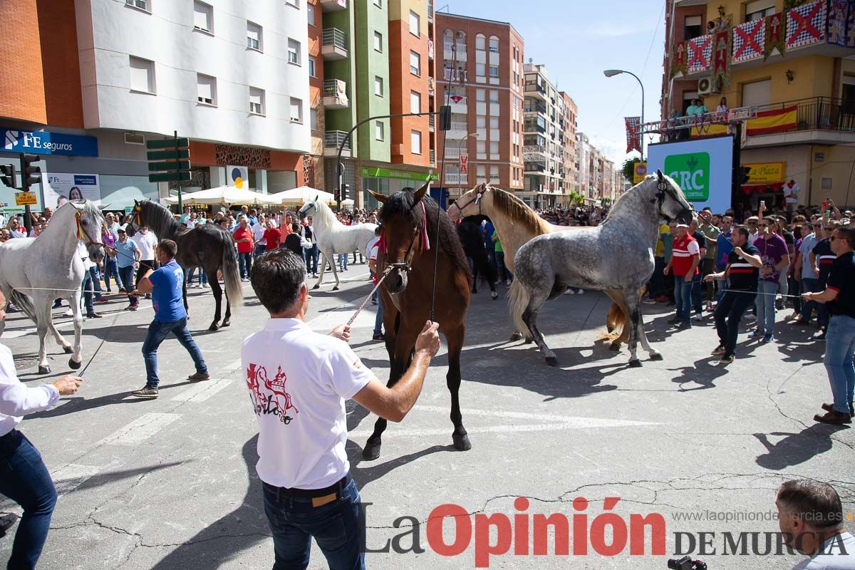 Pasacalles caballos del vino al hoyo