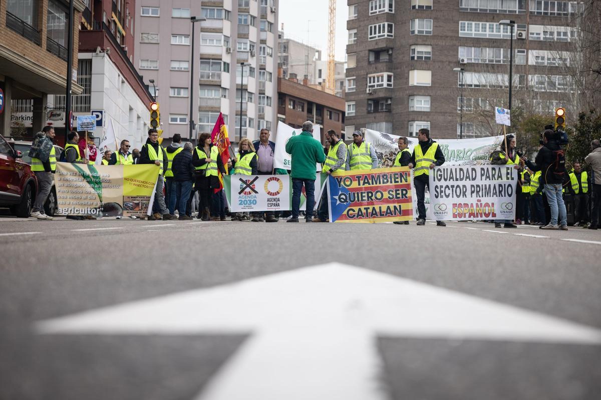 En imágenes | Los agricultores vuelven a las puertas de La Aljafería para protestar