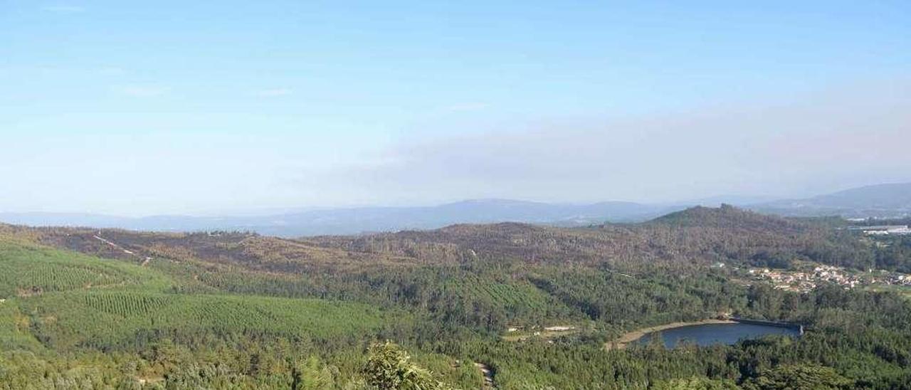 Parcelas de monte, con zonas quemadas, en Vilagarcía de Arousa. // Noe Parga