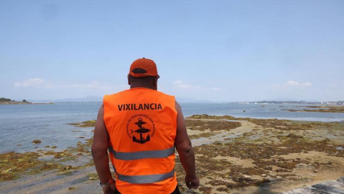 La cofradía mancomunada de San Martiño trata de mantener a salvo sus bancos marisqueros.