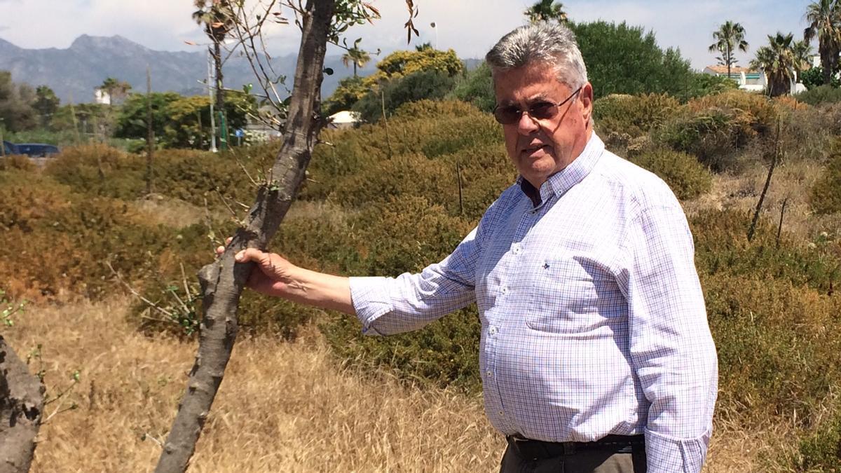 Fernando Piquer, junto a un árbol en una de las dunas de Las Chapas.