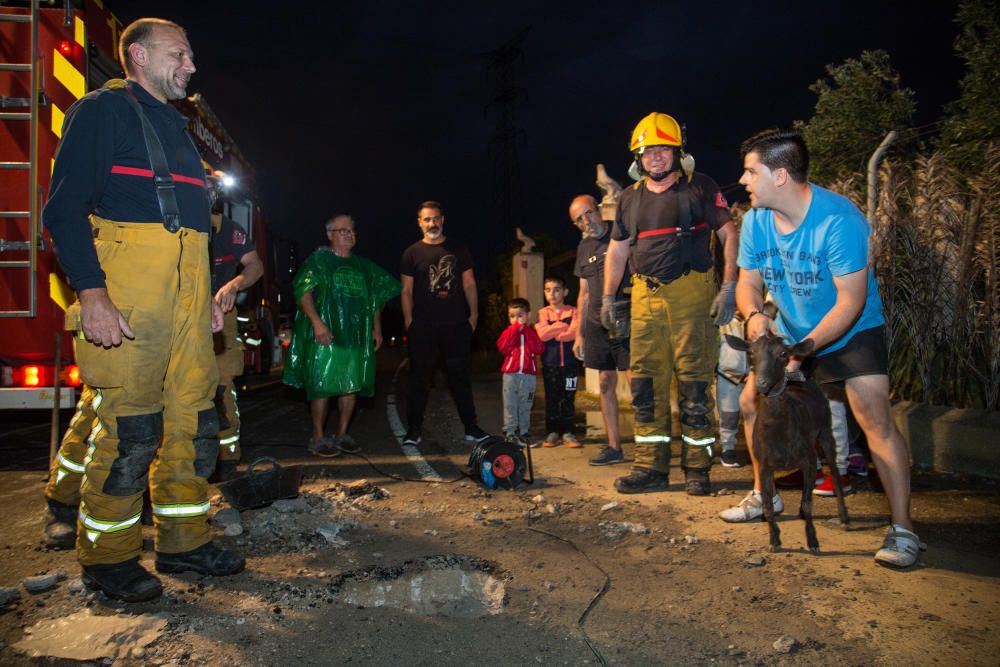 Rescatan a una cabra tras varios días atrapada en un desagüe