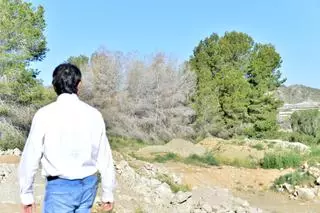 Una investigación revela el riesgo que sufren las zonas áridas por el cambio climático