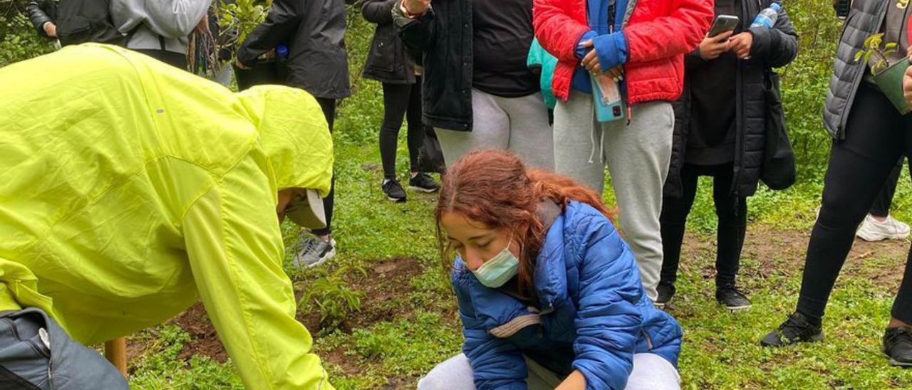 Voluntariado ambiental ‘con otro acento’ .