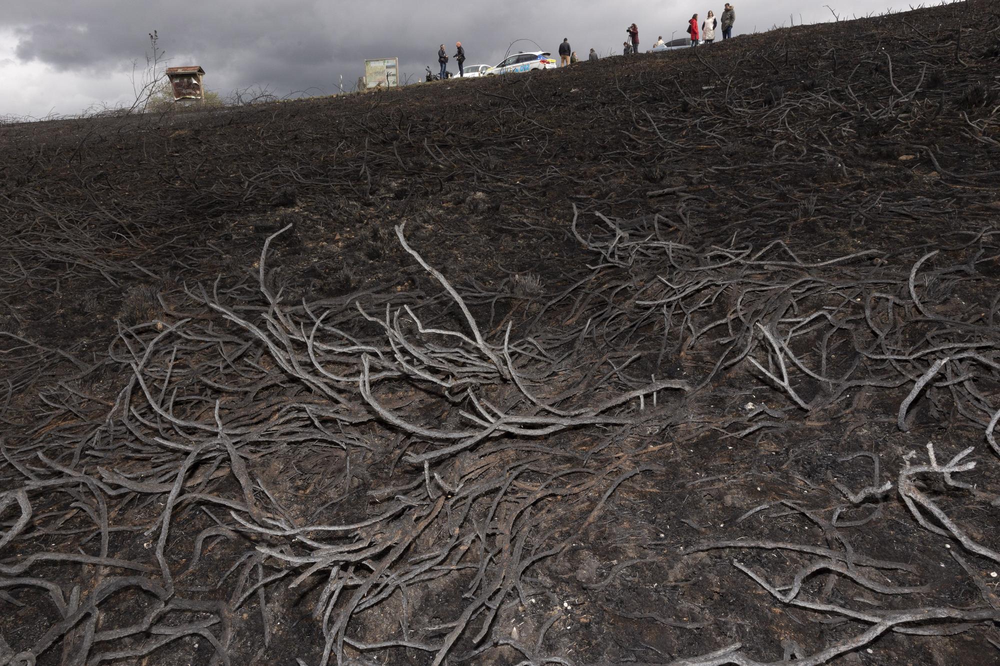 El aspecto del Naranco tras unos incendios históricos