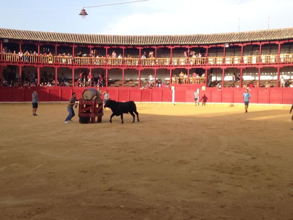 Fiestas Toro- concurso de jóvenes cortadores