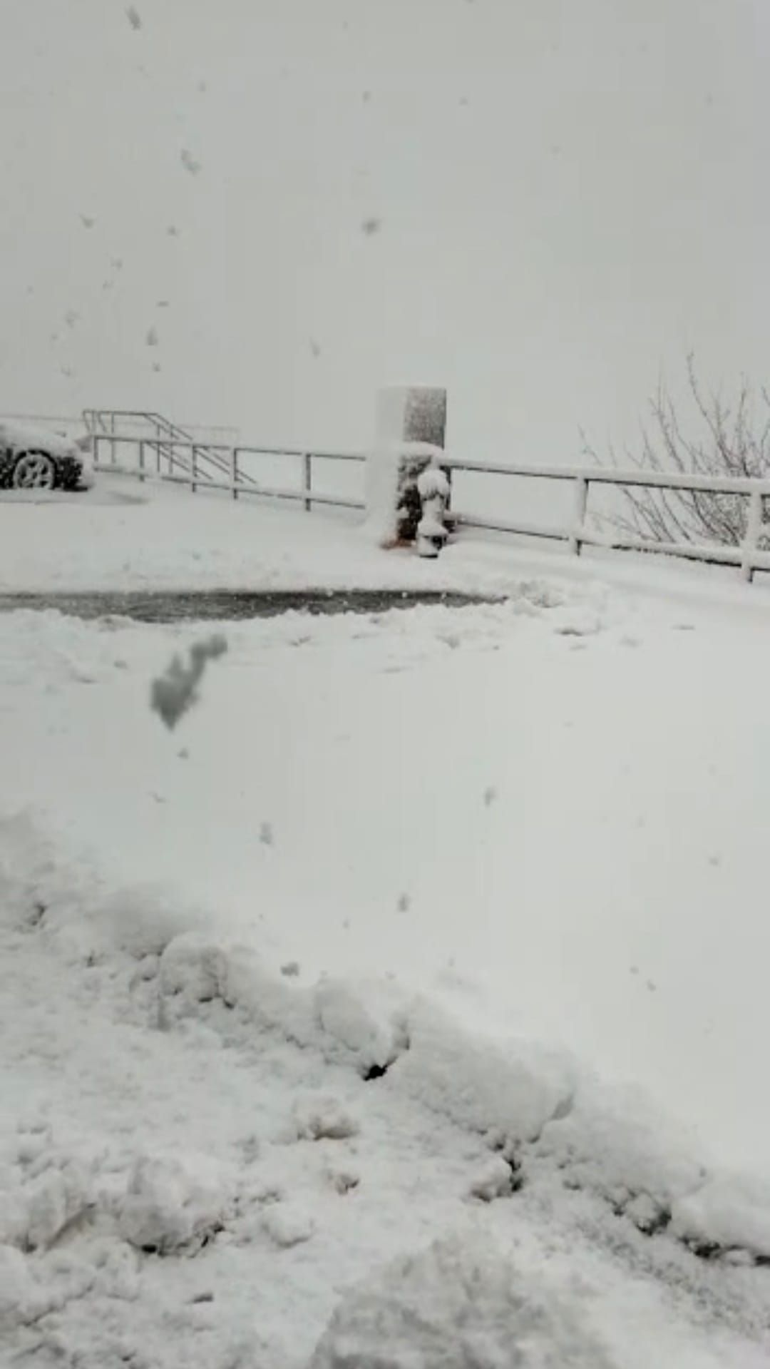 Segunda nevada primaveral en el interior de la provincia en la Serrella