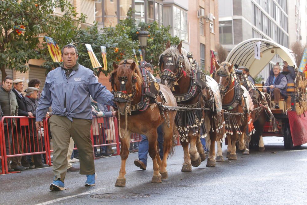 Sant Antoni en Valencia 2017