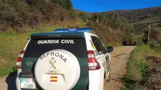 Detenido un cazador furtivo de ciervos y jabalíes en Las Villuercas