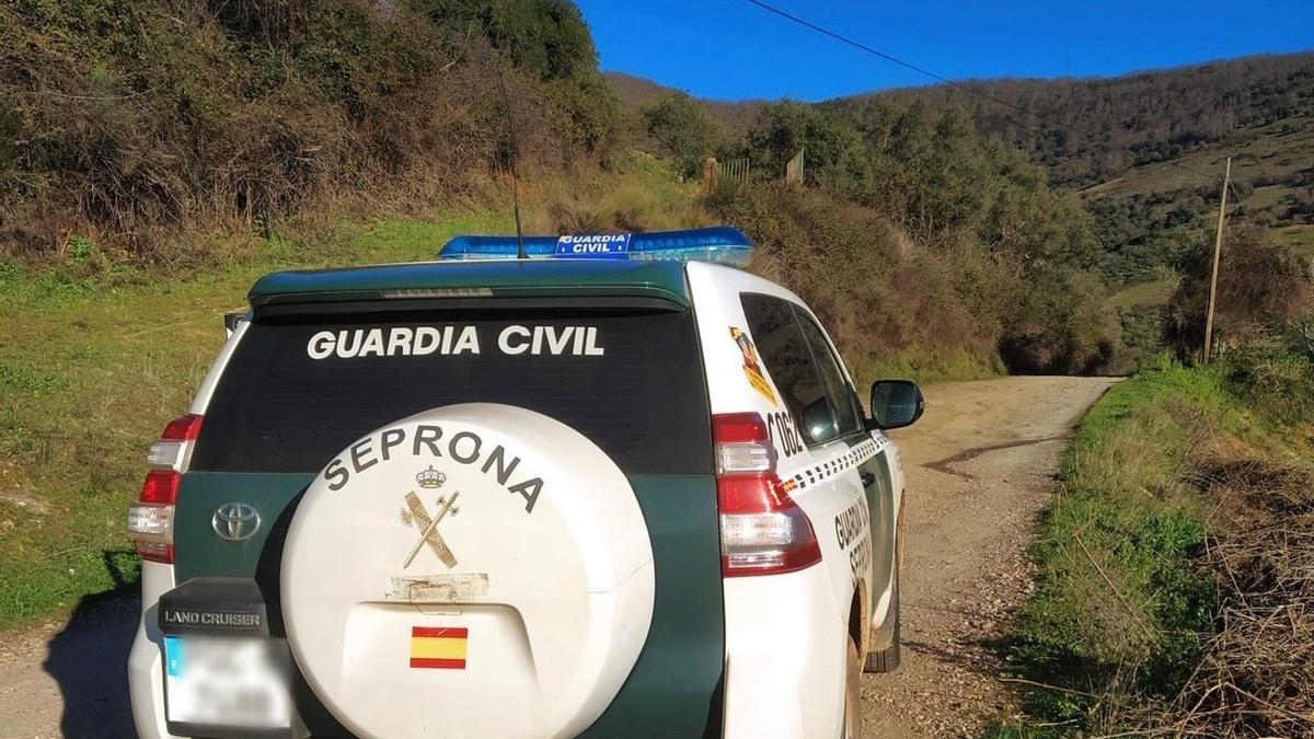 El detenido tenía un rifle con el que abatía a ciervos y jabalíes en una finca privada.