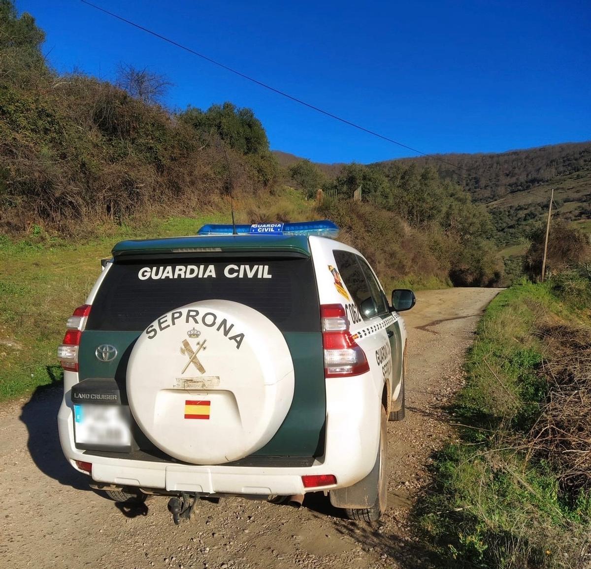 El detenido tenía un rifle con el que abatía a ciervos y jabalíes en una finca privada.