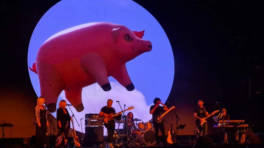 &quot;Apena ver las rencillas en Pink Floyd, juntos dejaron una obra maravillosa y eterna&quot;