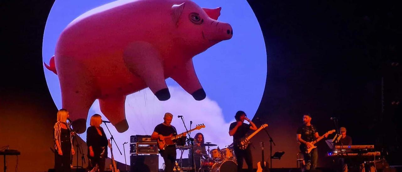 Un concierto de Im-Pulse, con un hinchable en forma de cerdo, alusivo a la mítica portada de "Animals" (1977).