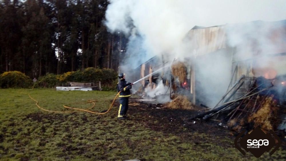 Sofocan un incendio en una nave de rollos de hierba de Castrillón