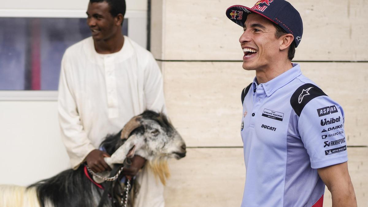 Marc Márquez ha bromeado hoy, en Doha (Catar), con la cabra (GOAT) del equipo Gresini.