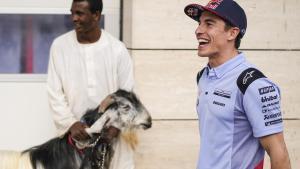 Marc Márquez ha bromeado hoy, en Doha (Catar), con la cabra (GOAT) del equipo Gresini.