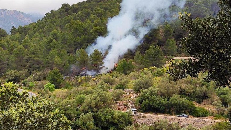 Nochmal gut gegangen: Waldbrand bei Valldemossa in Rekordzeit gestoppt